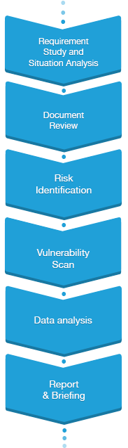 Security Assessment